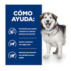 Hill's Prescription Diet Urinary + Metabolic pienso para perros, , large image number null